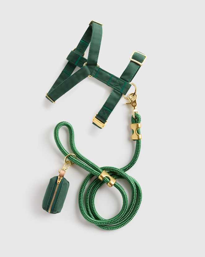 Dark Green 100% Cotton-Wrapped Nylon Dog Harness Walk Kit