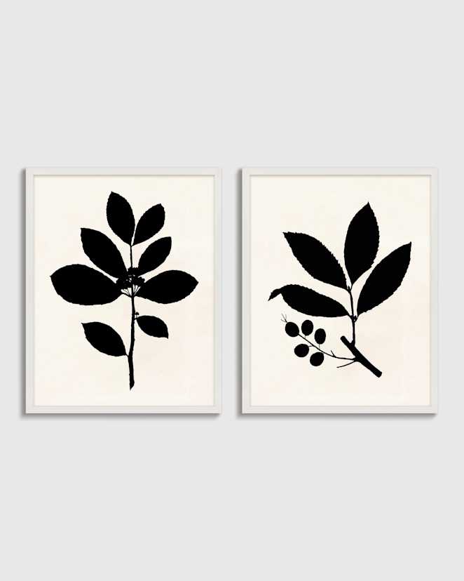 White Tea Tree, Cherry Laurel by Philippa Katz (Set of 2)