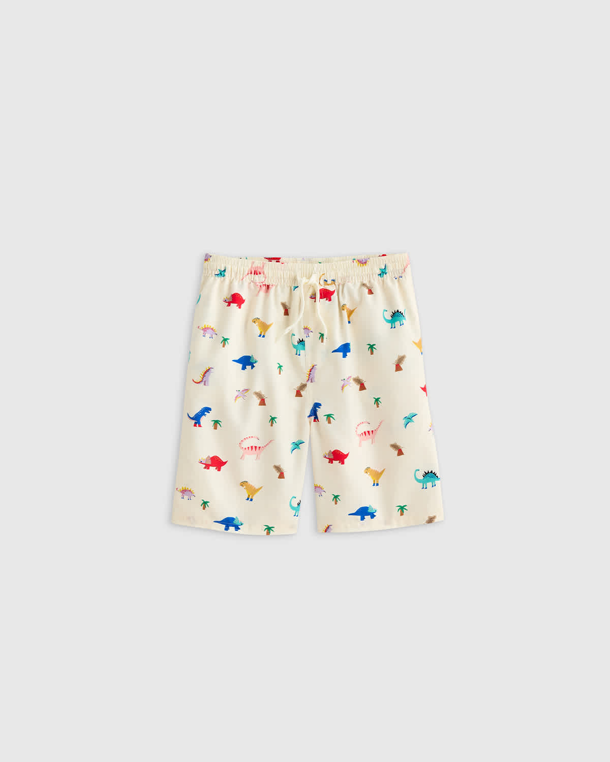 dinosaurs Swim Trunk