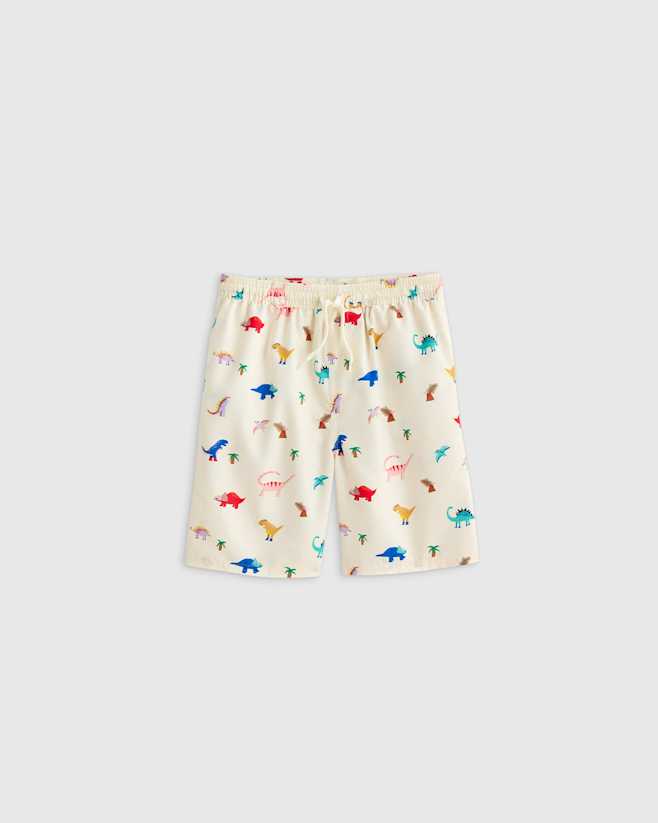 Dinosaurs Swim Trunk