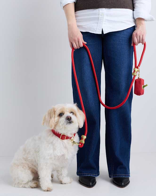 Ruby Double-Braided Nylon Rope Dog Leash