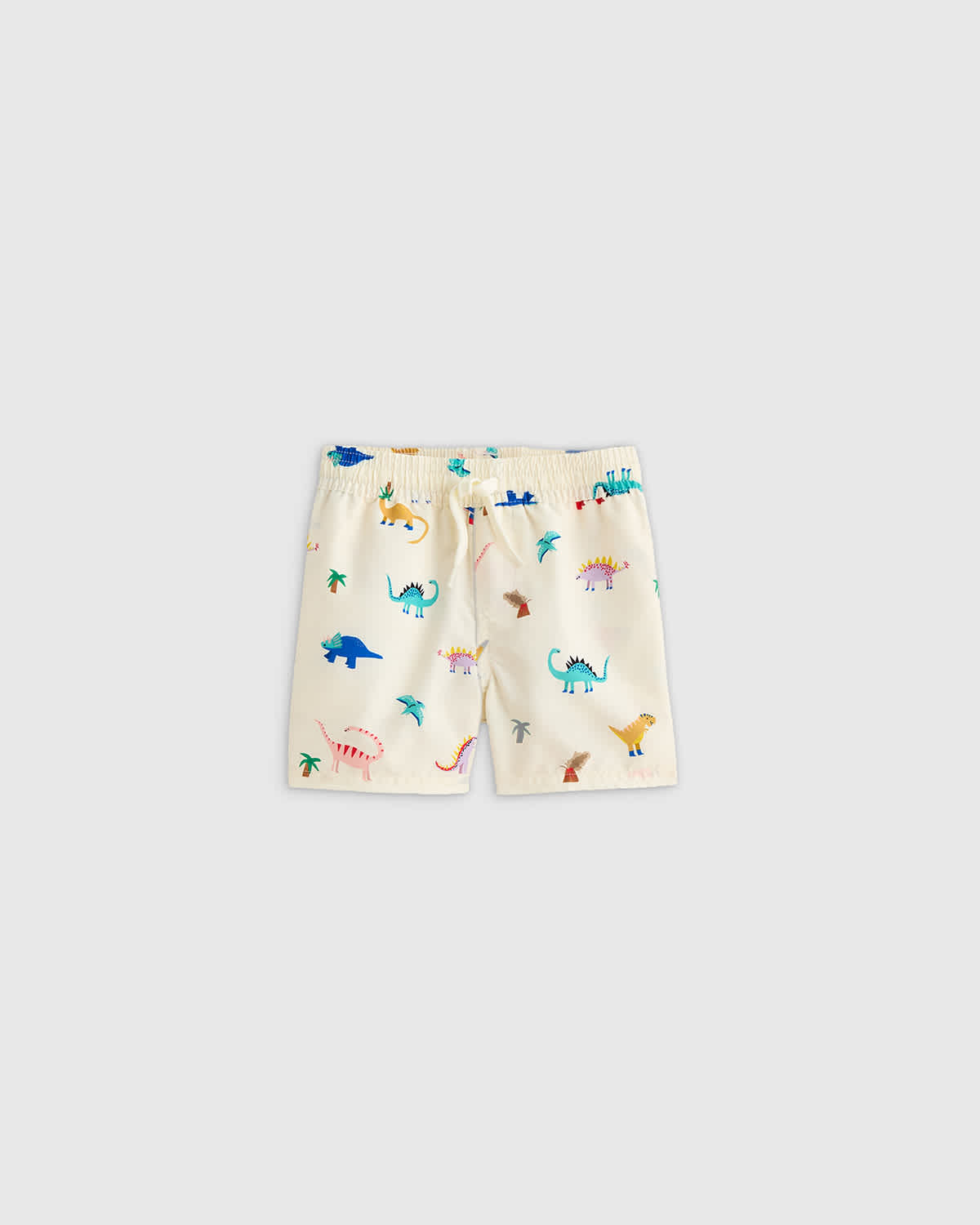 dinosaurs Swim Trunk