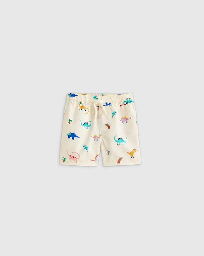 Dinosaurs Swim Trunk