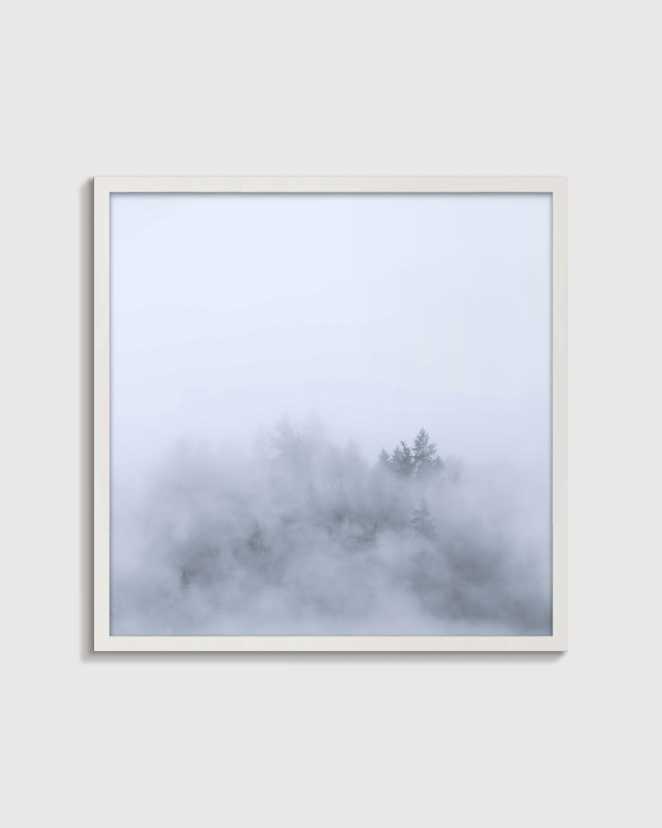 White Above the Mist by Laura Zimmerman