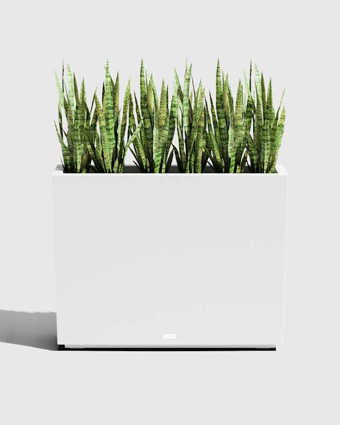 White Block Series All Weather Rectangular Planter by Veradek