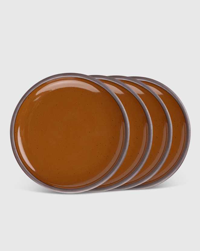 Glossy Sepia Dinner Plate (Set of 4) by East Fork