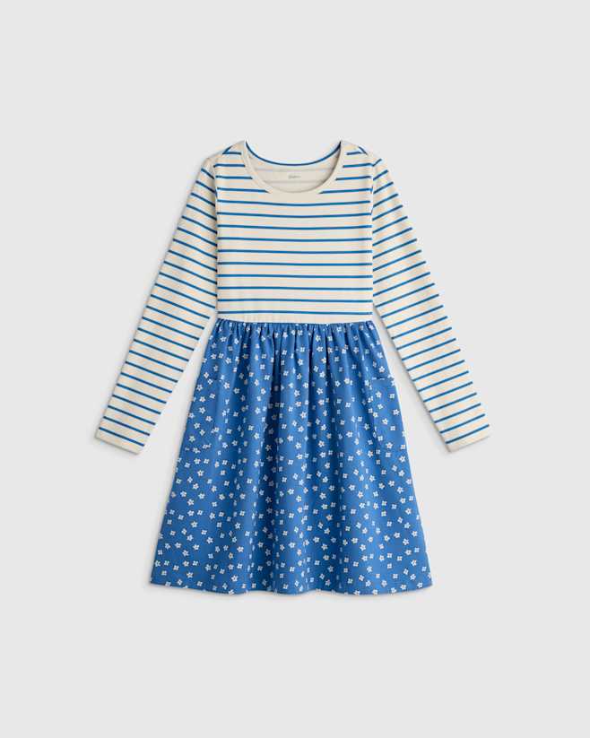 Blue Mini Floral Stripe Organic Cotton Long Sleeve Fit and Flare Pocket Dress