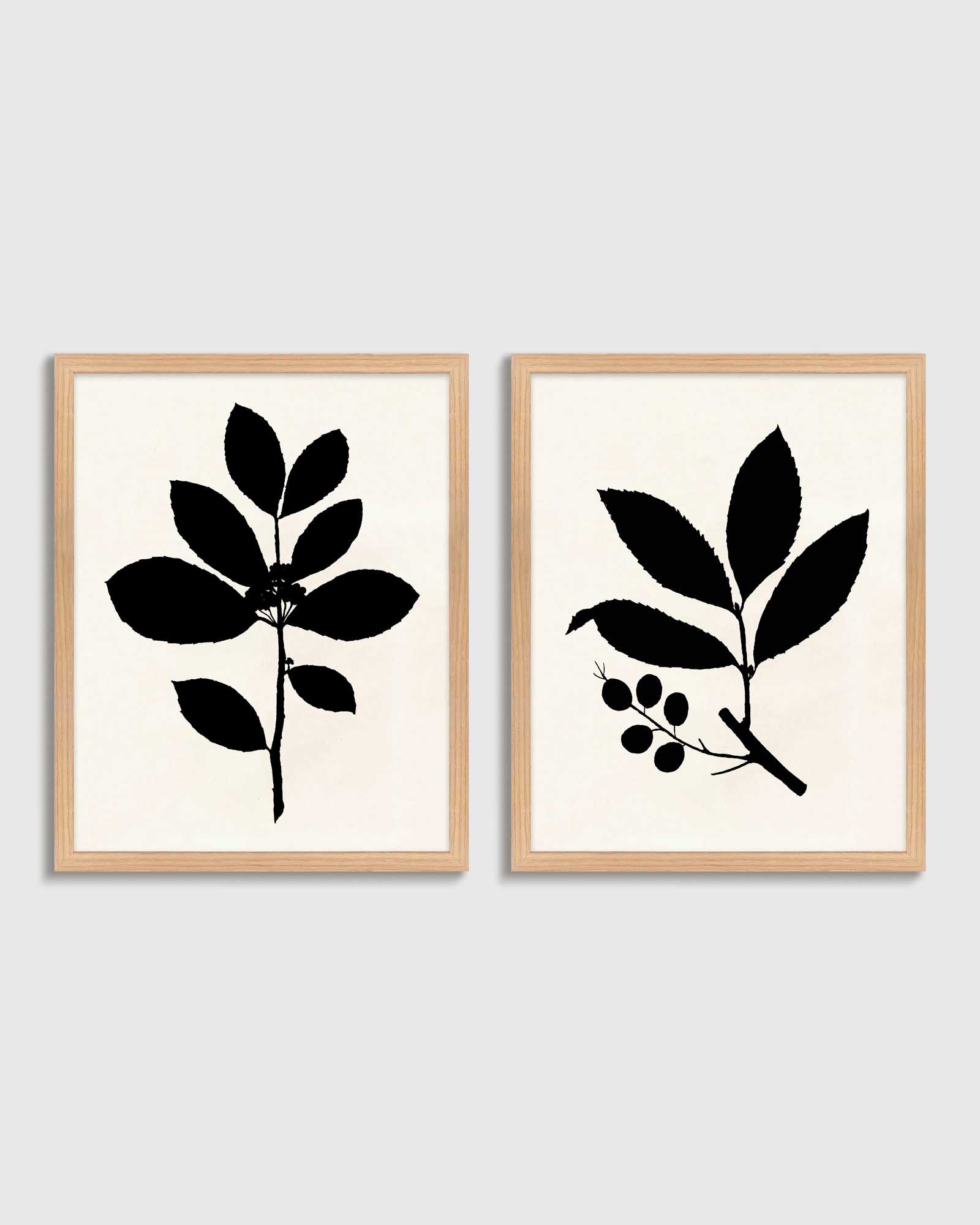 Tea Tree Oak Hero