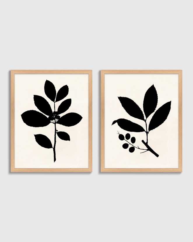 Oak Tea Tree, Cherry Laurel by Philippa Katz (Set of 2)