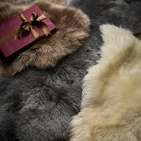 holiday hosting rugs
