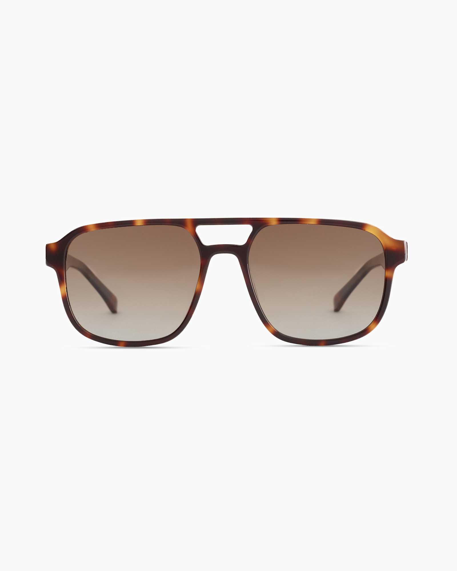 ASHER-CLEAR Tortoise177781