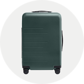 everyday steals - luggage