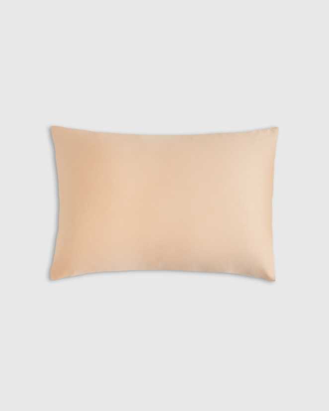 Blush Pink 100% Mulberry Silk Pillowcase