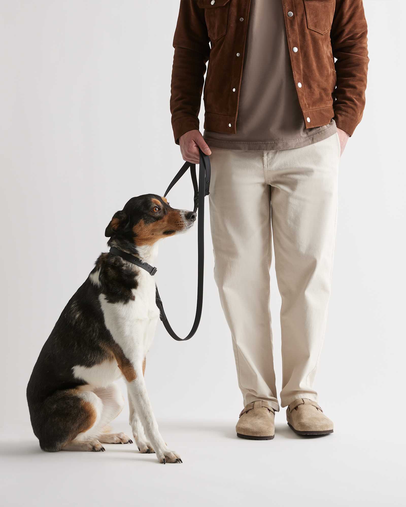 Black Flex-Poly Dog Leash