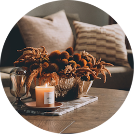 Fall Home - Shop all bubble 2026