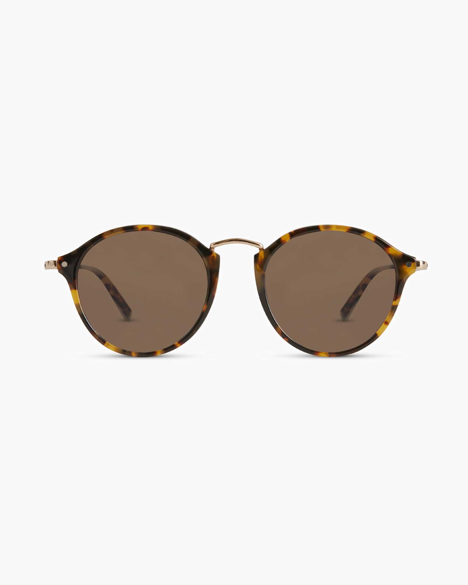 RYDER-FAWN-POLARIZED-1