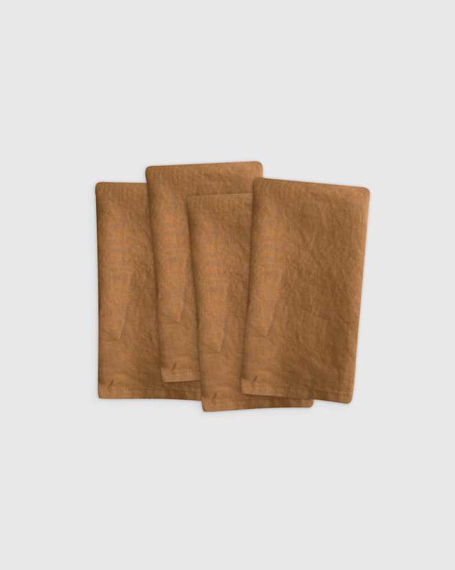 Terracotta European Linen Napkins (Set of 4)