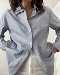 100- Organic Cotton Poplin Long Sleeve Shirt Light Blue Stripe Jamie-Lee Burns 4x5 Thumbnail