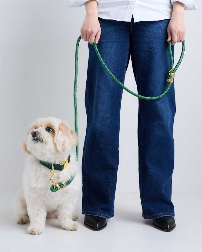 Dark Green Double-Braided Nylon Rope Dog Leash
