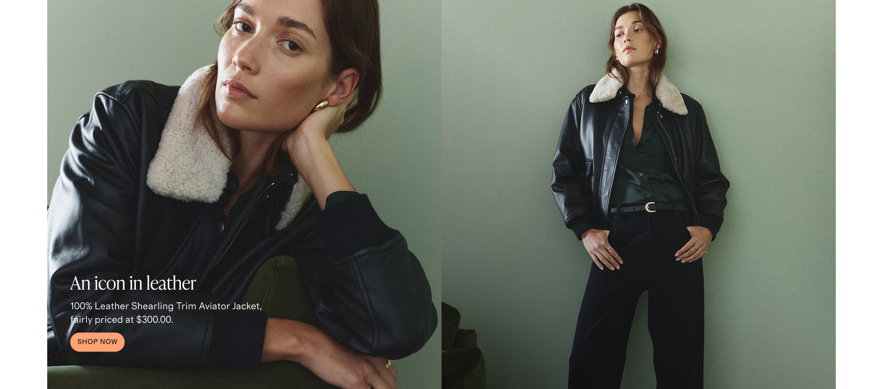 aviatorleatherjacketdesktop