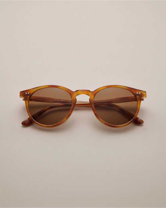 Clear Brown with Brown lens Noah Polarized Acetate Sunglasses