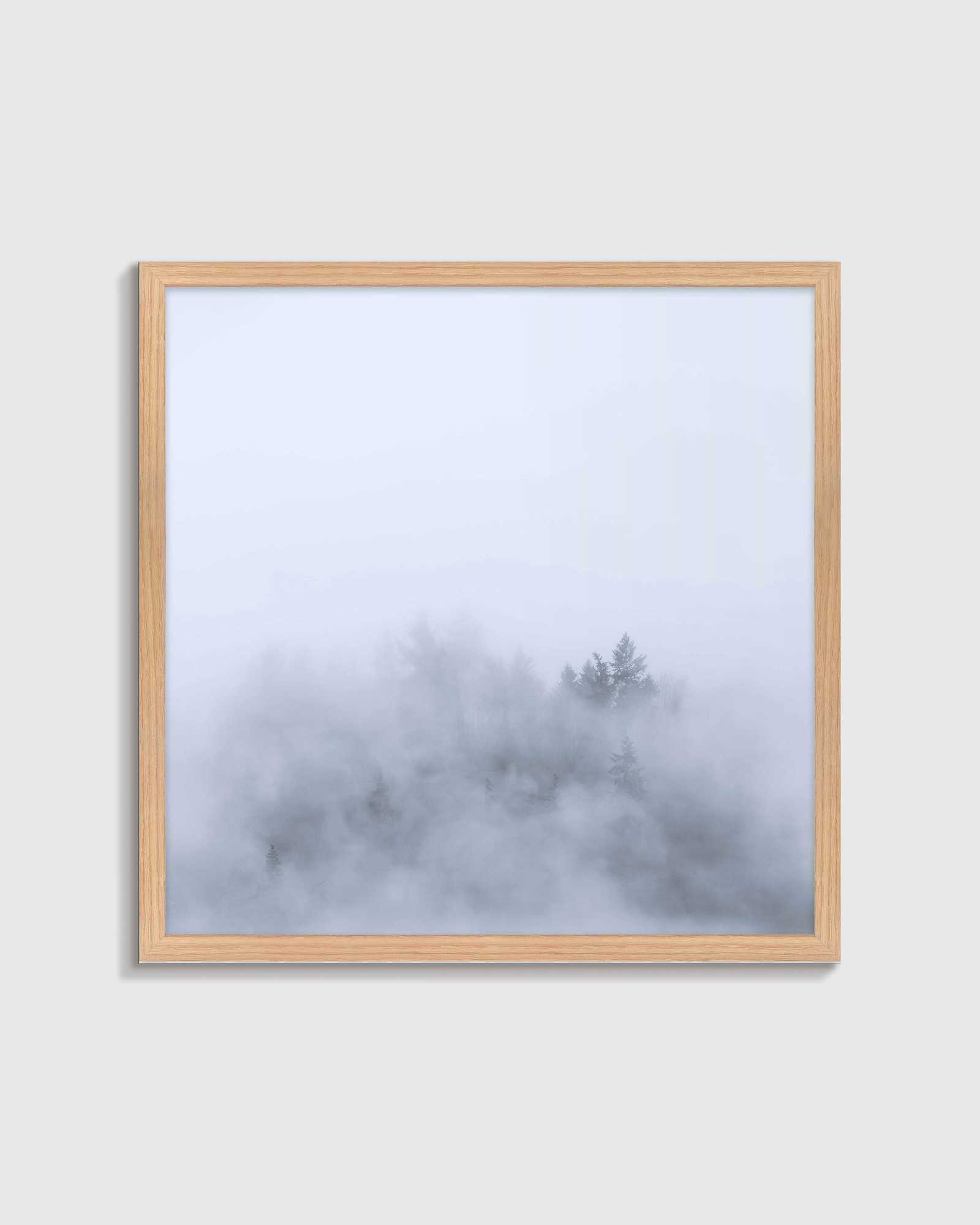 Oak Above the Mist by Laura Zimmerman