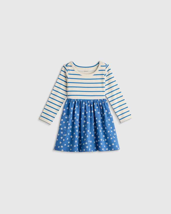 Blue Mini Floral Stripe Organic Cotton Long Sleeve Fit and Flare Pocket Dress