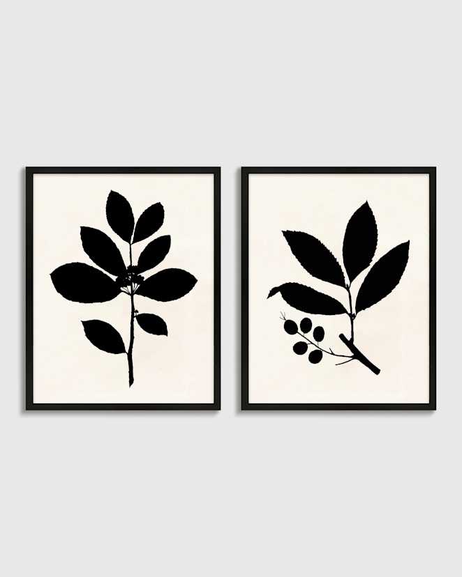 Black Tea Tree, Cherry Laurel by Philippa Katz (Set of 2)