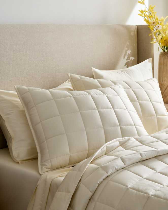 Ivory Bamboo Box Quilted Sham Set
