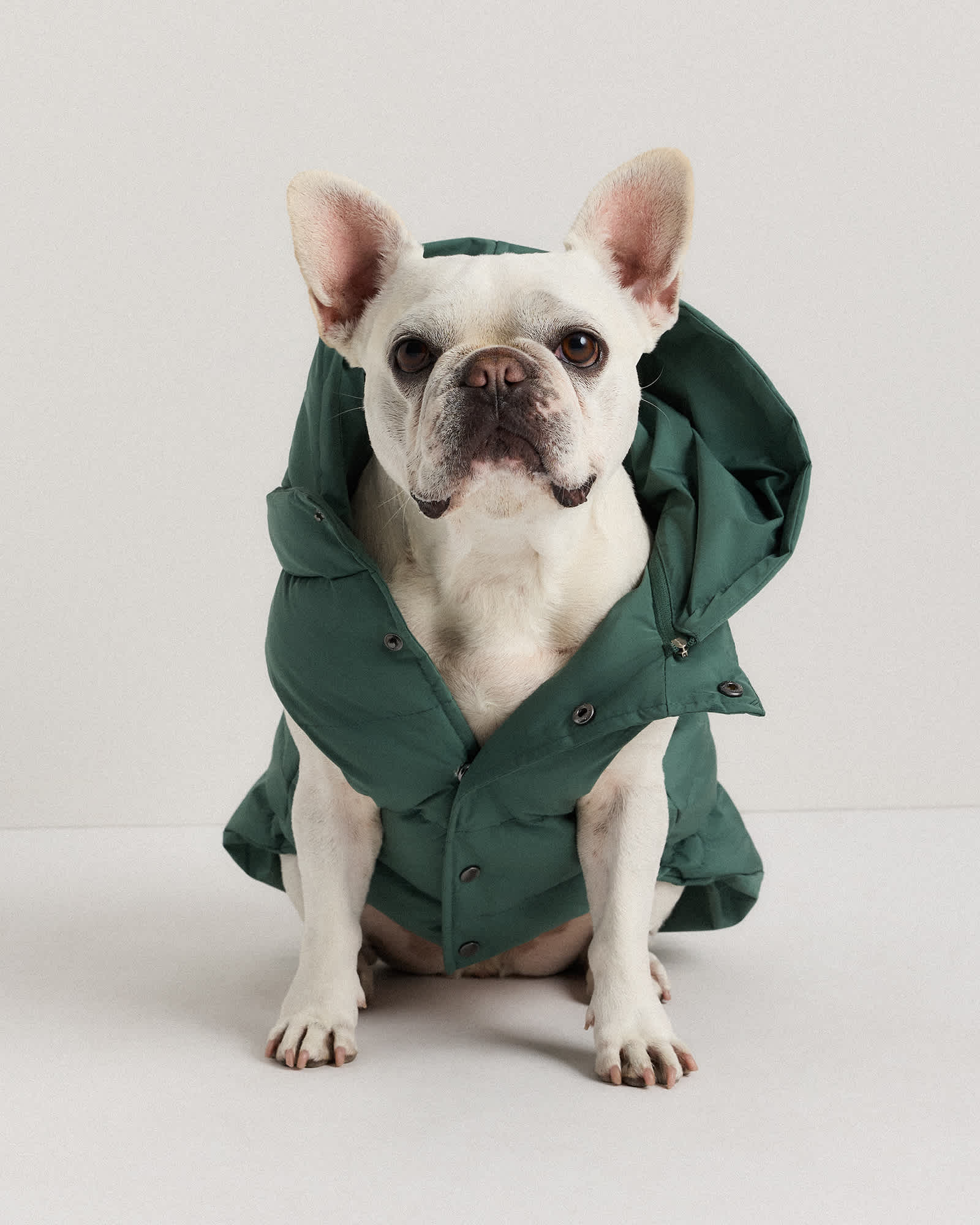 U--556-FRGRN-01 EDITED