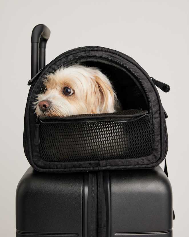 Black Pet Travel Carrier