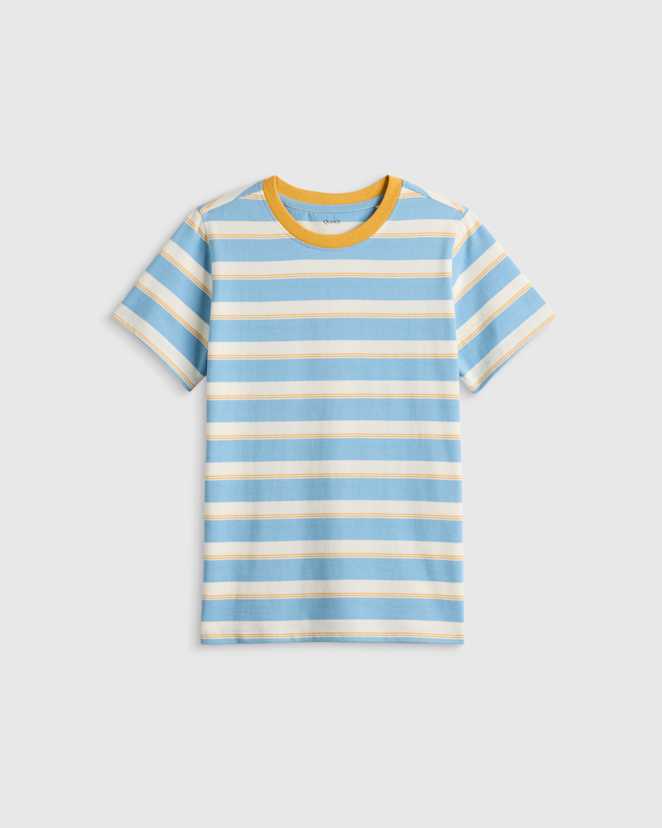 Large Multi Blue Stripe 100% Organic Cotton Jersey Short Sleeve Tee