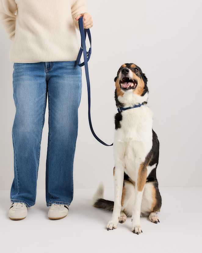Navy Flex-Poly Dog Leash