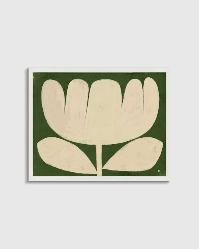 White Tulip in Full by Marco Marella