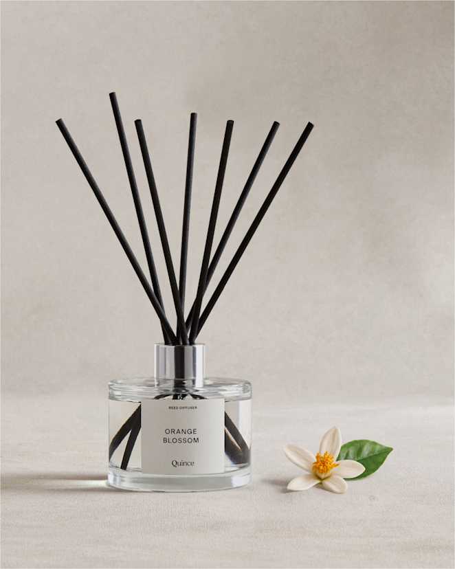 No Color Orange Blossom Reed Diffuser