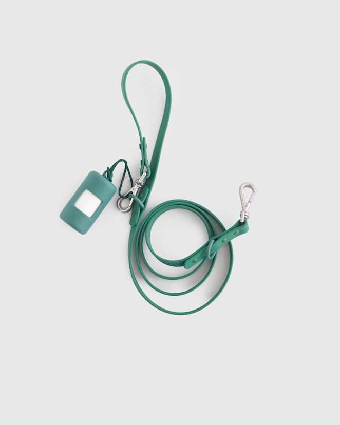 Everglade Green Dog Collar Walk Kit