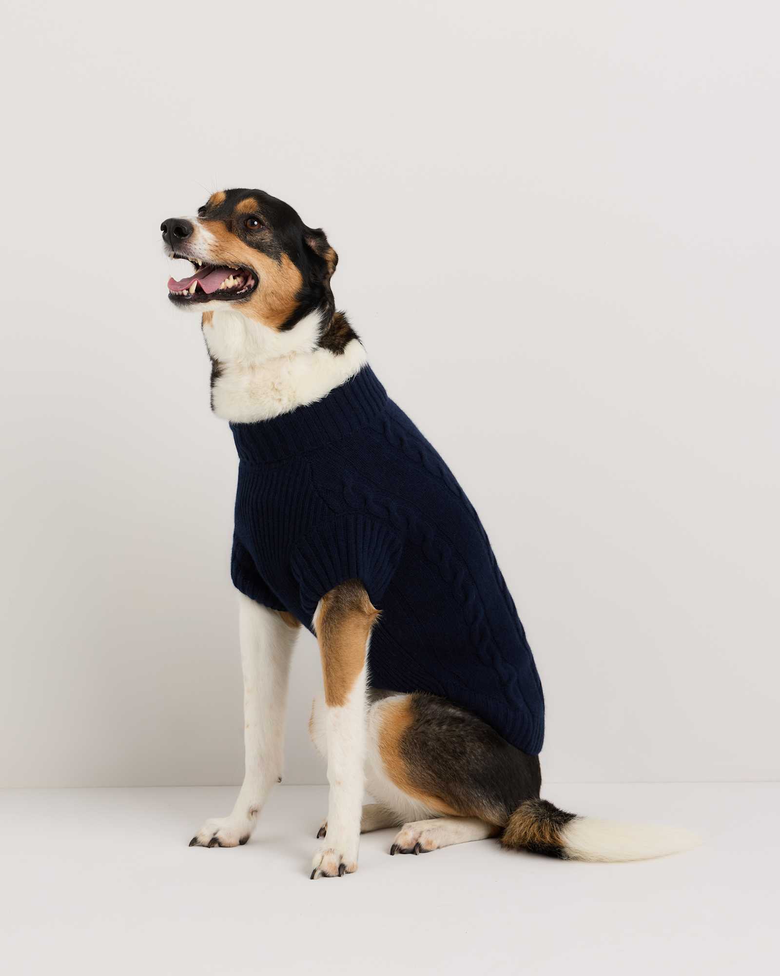 True Navy Mongolian Cashmere Cable Knit Dog Sweater