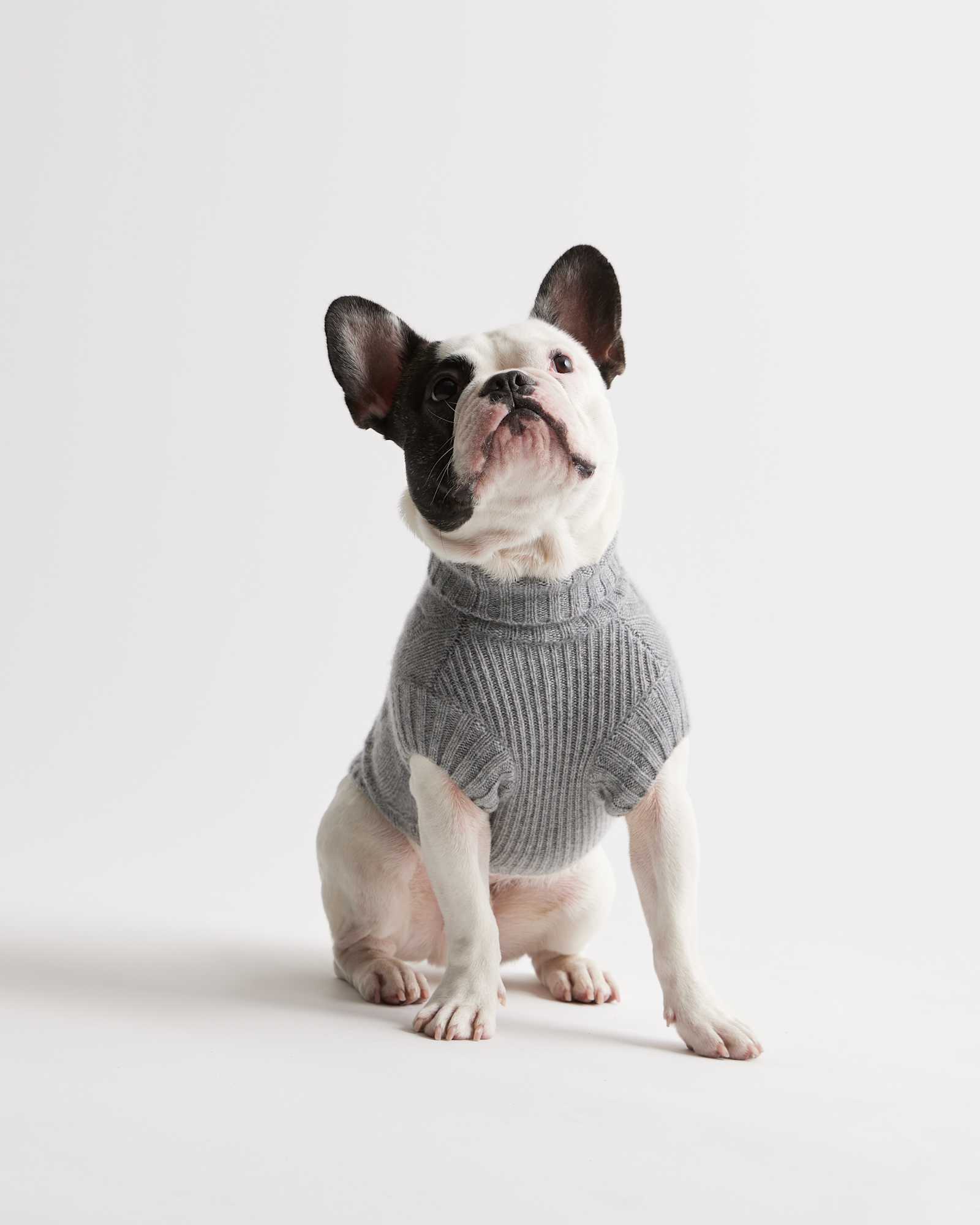 Heather Grey Mongolian Cashmere Cable Knit Dog Sweater