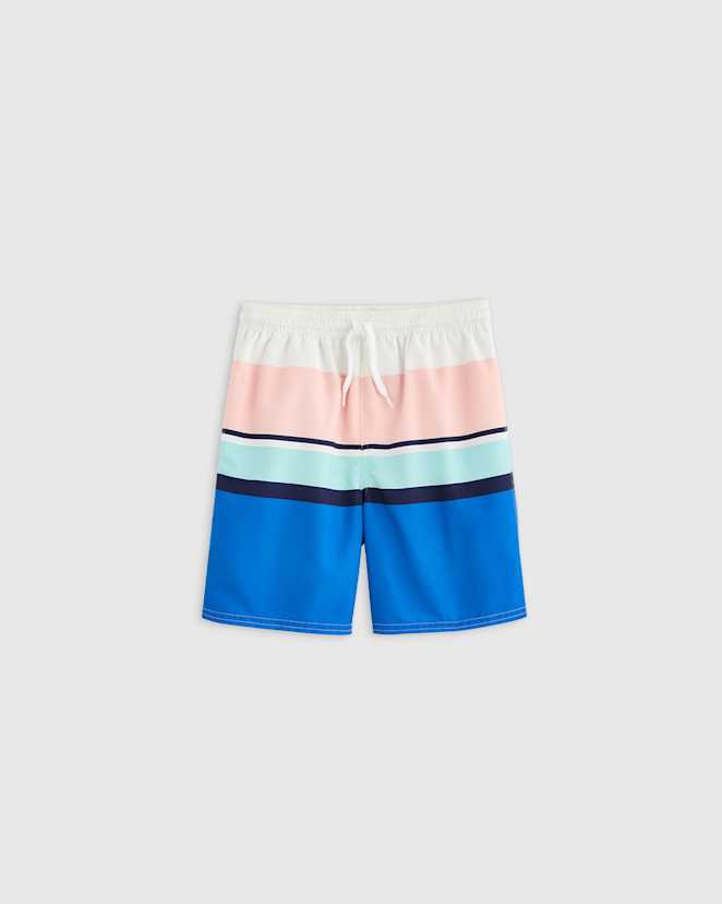 Colorblock Stripe Swim Trunk