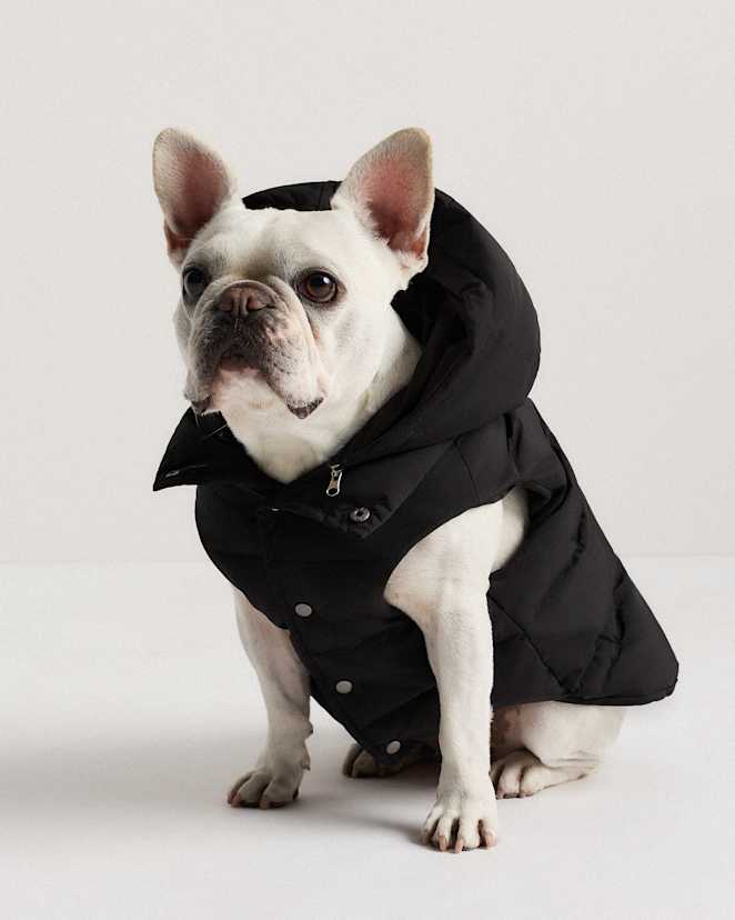 Black Waterproof Dog Puffer Jacket