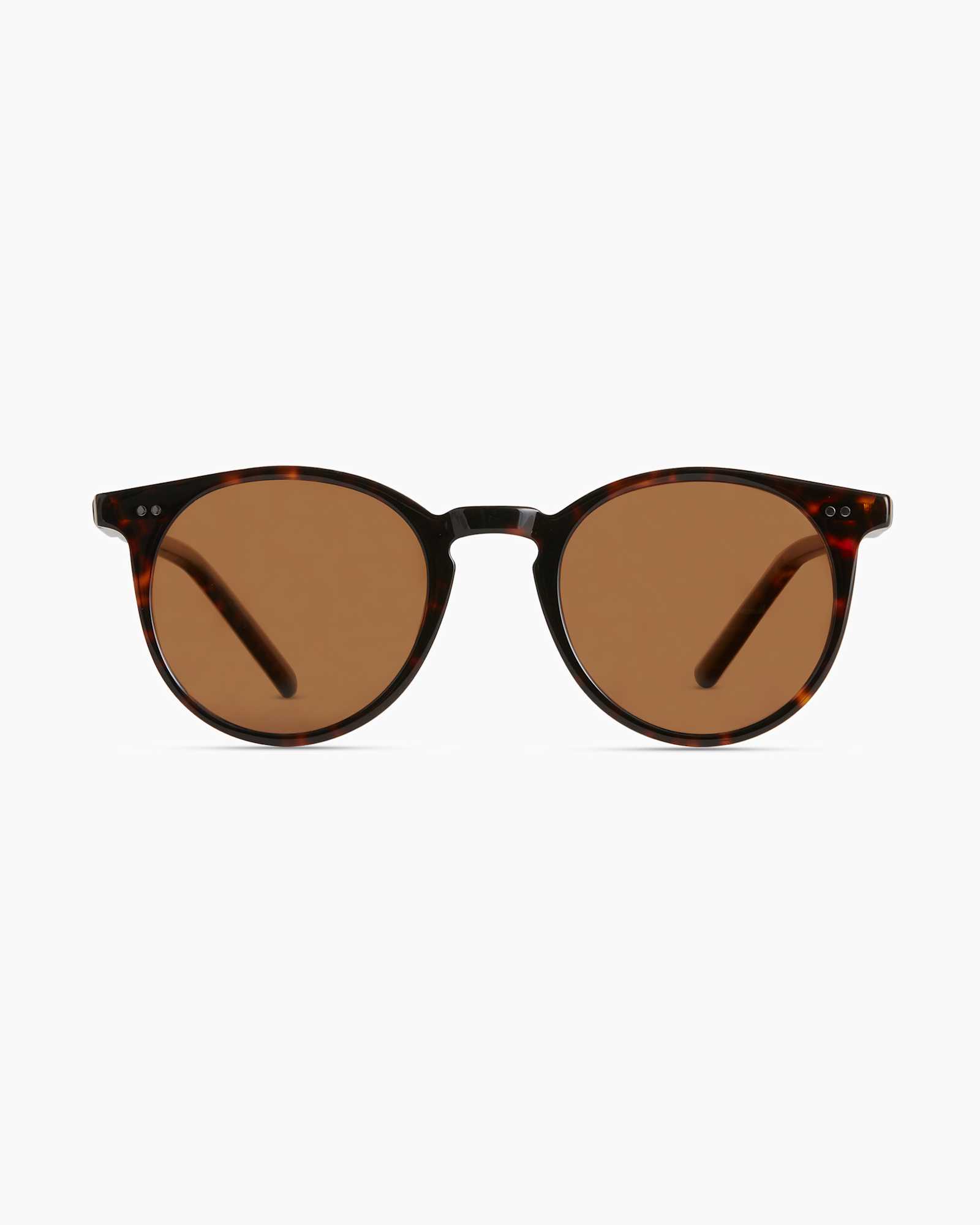NOAH-TORTOISE-POLARIZED-7061