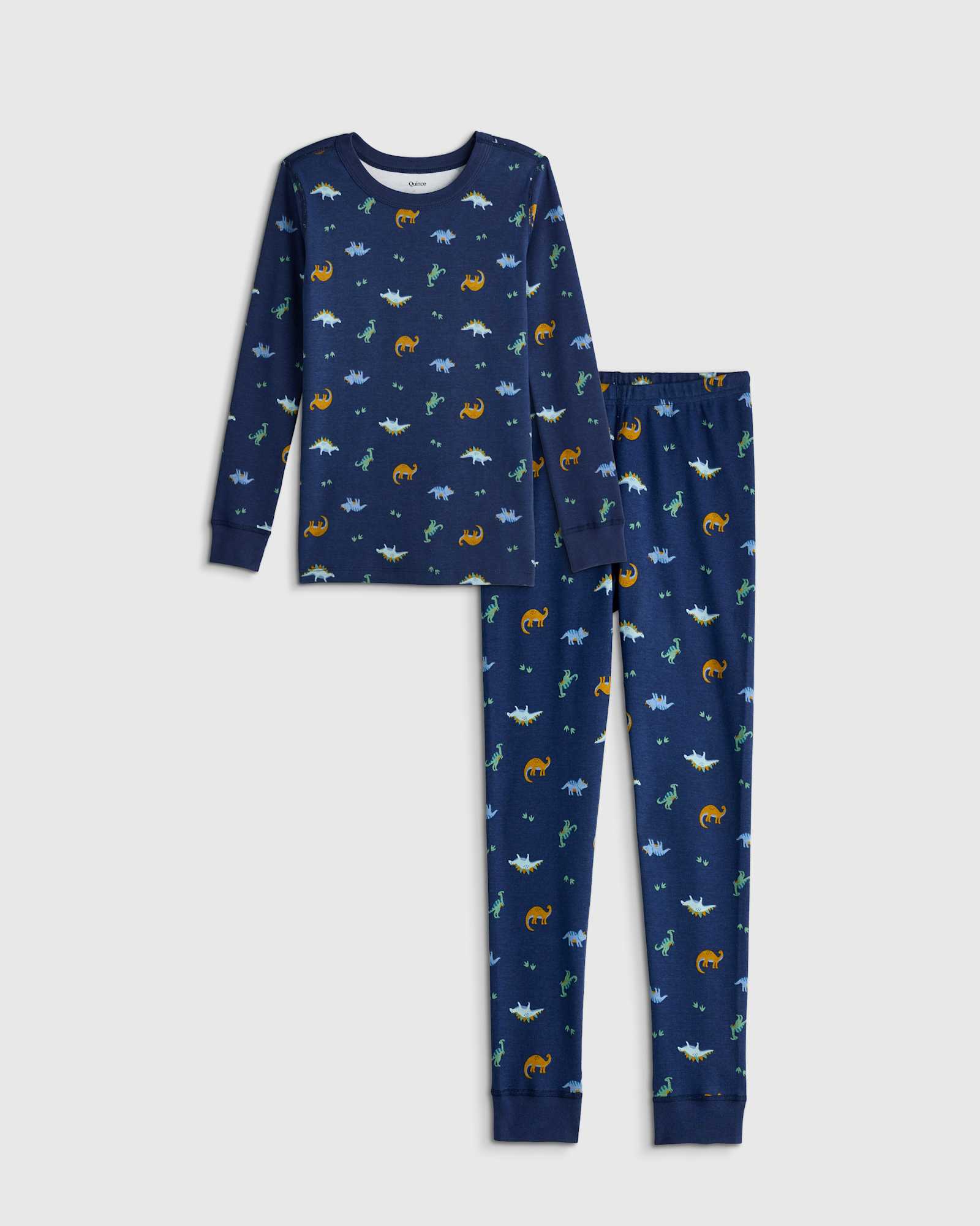 Little Dinos 100% Organic Cotton Long Sleeve and Pant Pajama Set