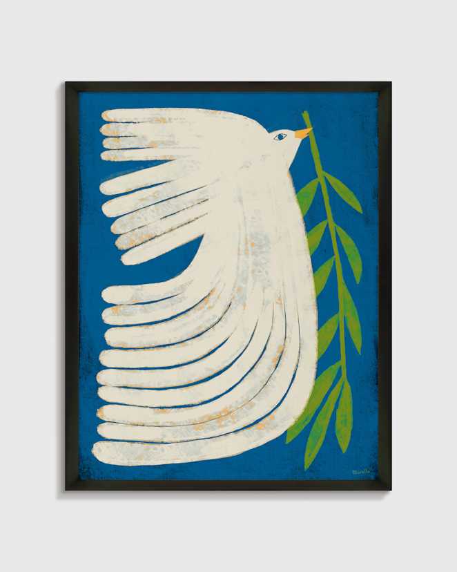 Black Peace Dove by Marco Marella