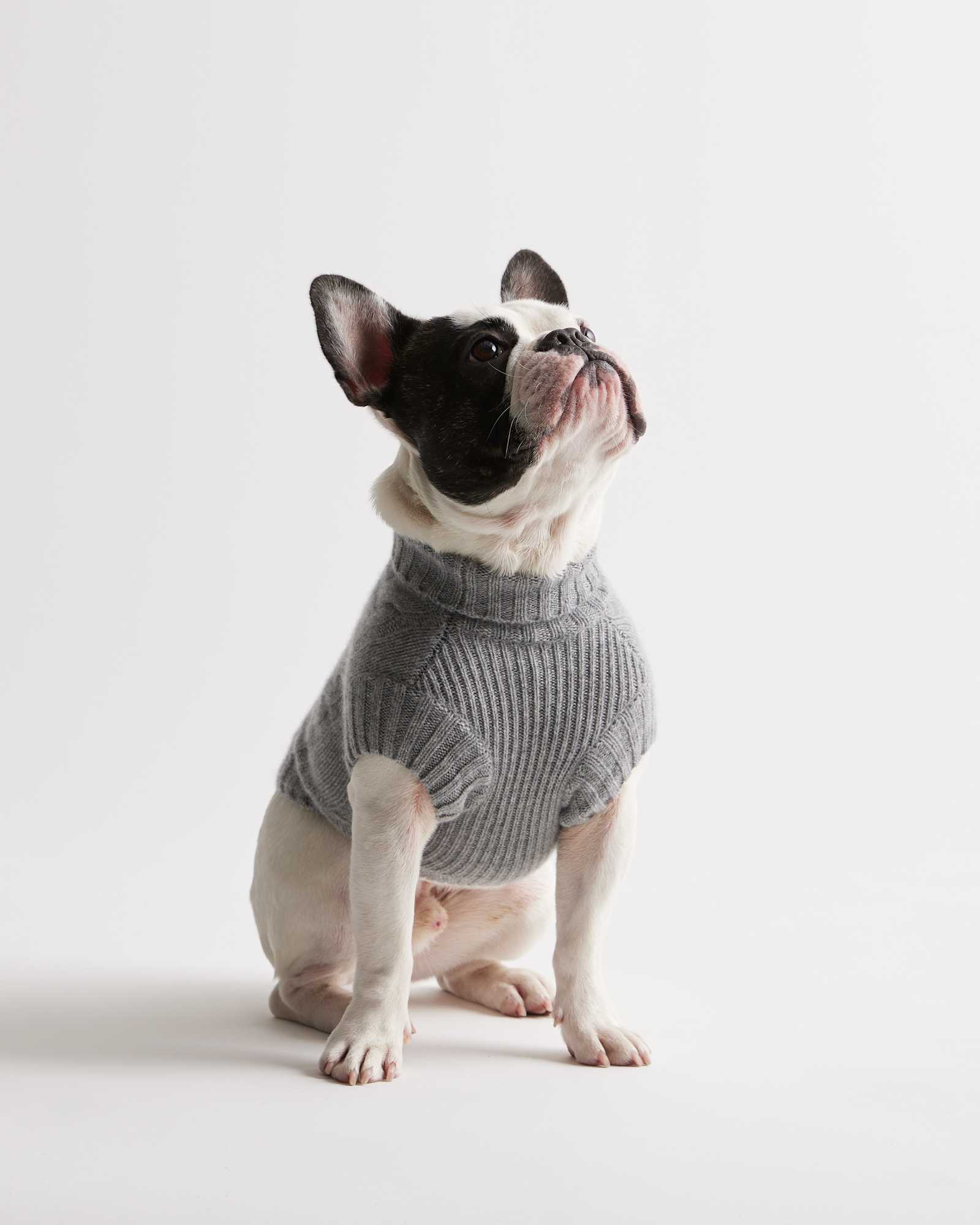 Heather Grey Mongolian Cashmere Cable Knit Dog Sweater