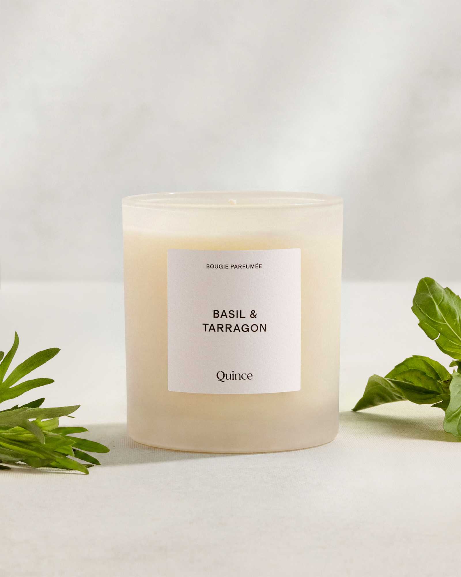No Color Basil & Tarragon Candle