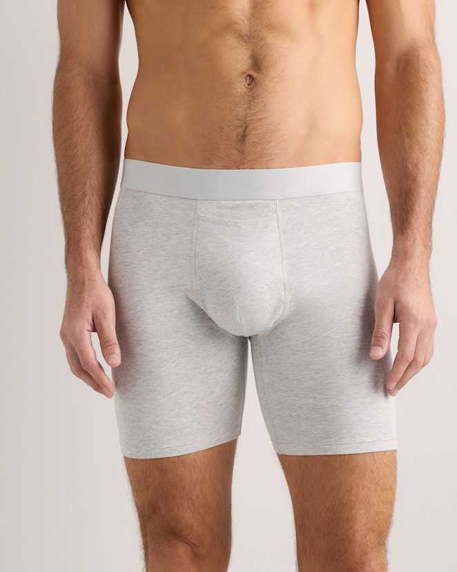 Light Grey Organic Cotton 6'' Boxer Brief (3-pack)