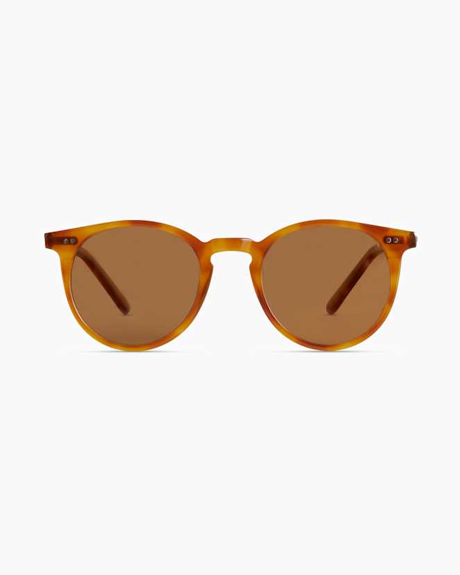 Clear Brown with Brown lens Noah Polarized Acetate Sunglasses