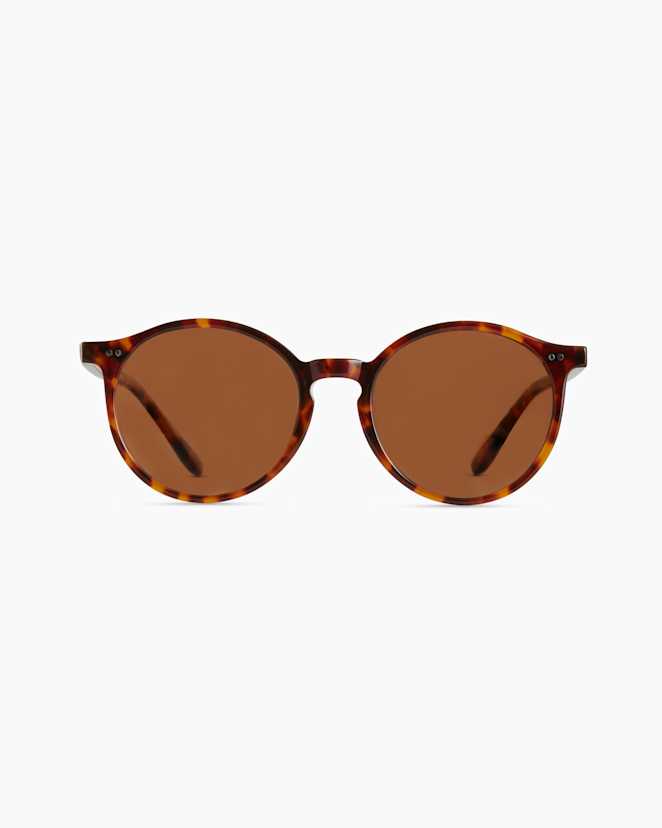 Ginger Tortoise with Brown lens Brixton Polarized Acetate Sunglasses