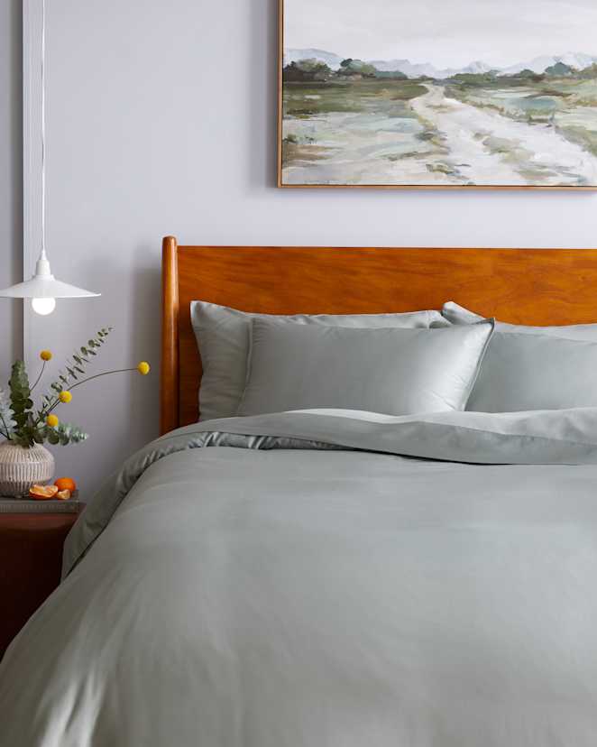 Eucalyptus Bamboo Sham Set