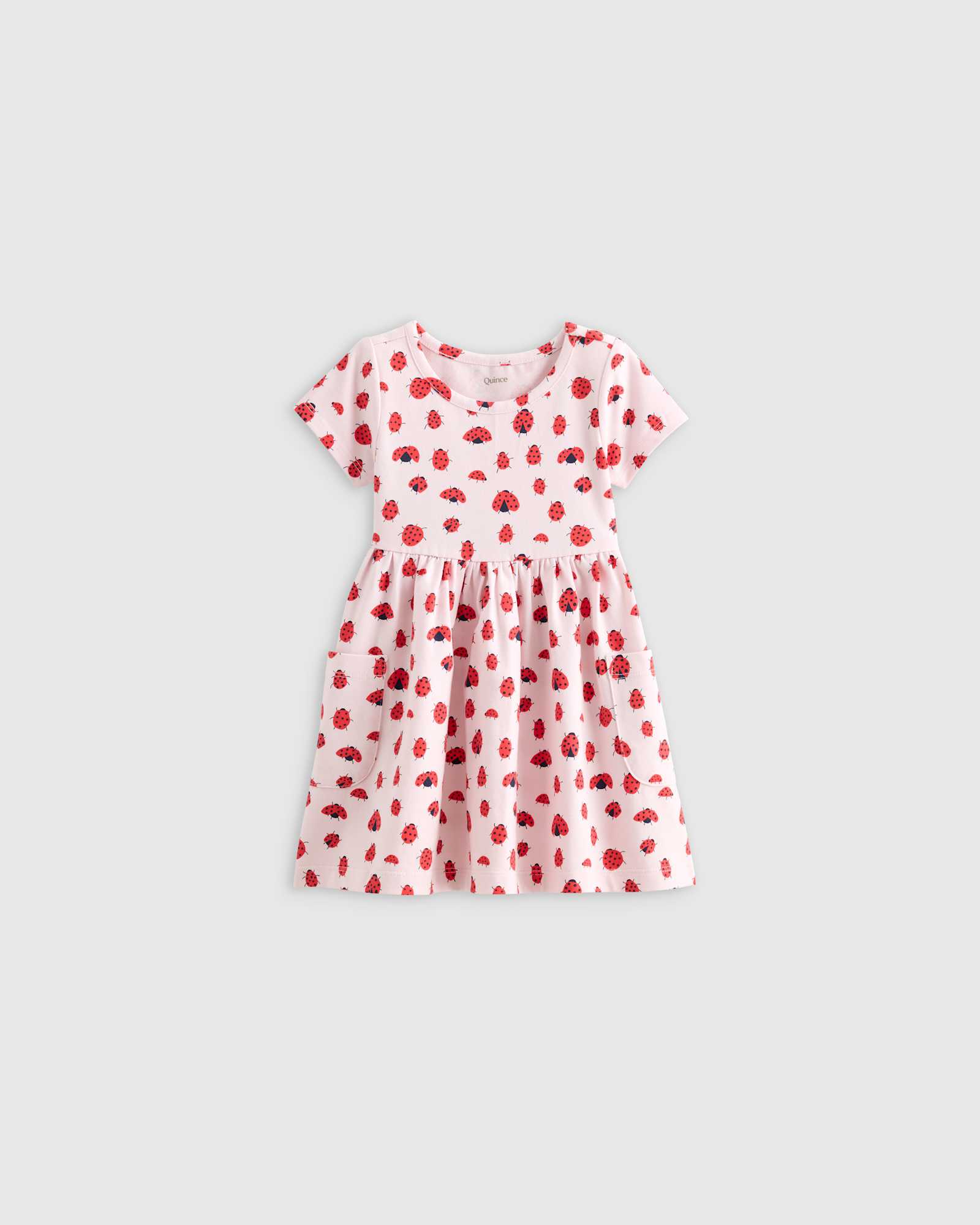 ladybug Organic Cotton Fit and Flare Pocket Dress